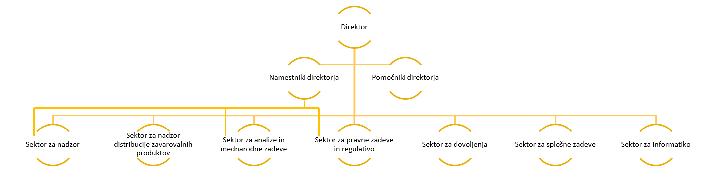 na sliki je organigram agencije, ki prikazuje šest sektorjev, nad njimi so namestniki direktorja ter pomočnik direktorja, na vrhu je direktor agencije